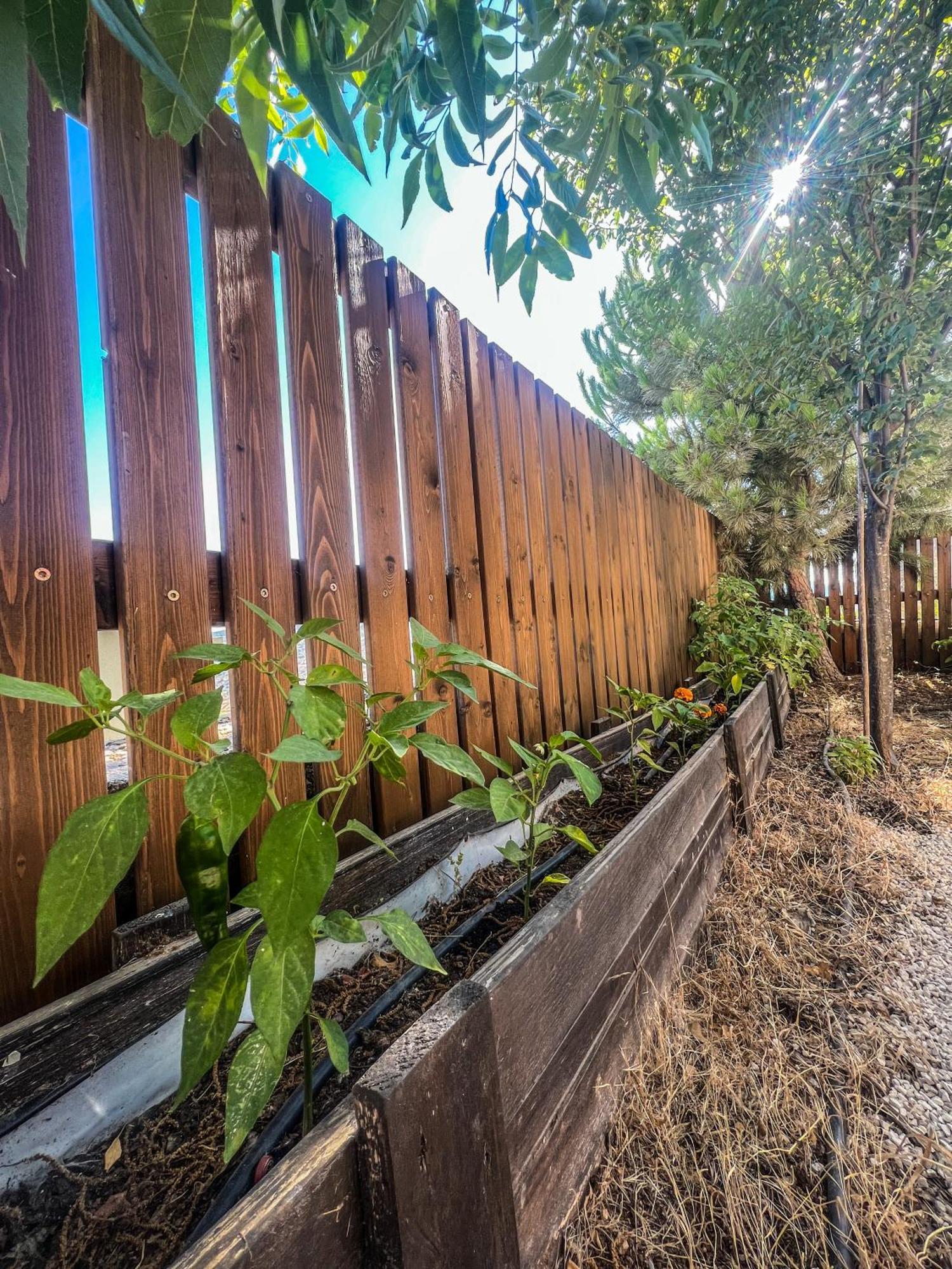 Lana'S Guest House Hurfeish Exterior foto